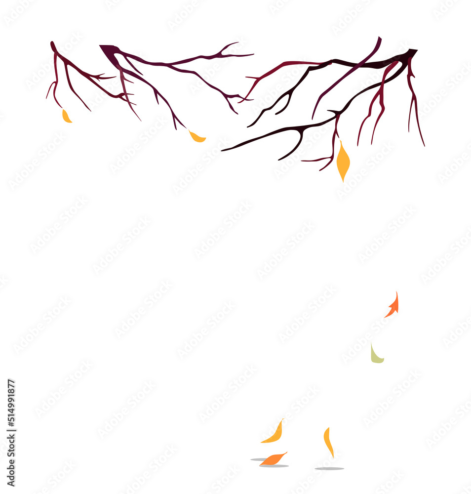Branches without leaves autumn trees. Falling leaves. Vector illustration isolated on white background