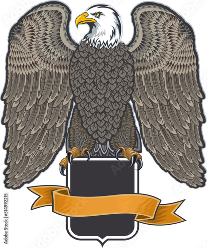 The redoubtable bald eagle - American Eagle