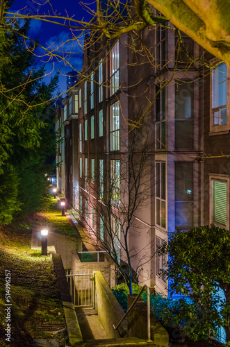 Luxury house with big tree and nice landscape at night in Vancouver, Canada, North America. Night time on May 2022