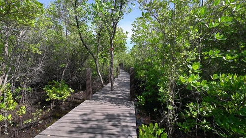 Wooden bridge walkway at Kung krabaen bay Mangrove forest at chanthaburi city thailand.
 photo