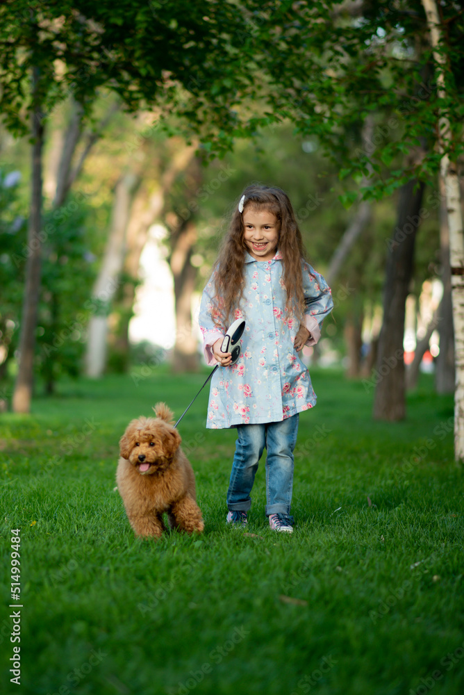 A cute little girl on a walk with toy poodle dog. It's spring outside. The girl is dressed in a blue cloak in a flower and jeans. She has long wavy hair. Childhood. Stroll.