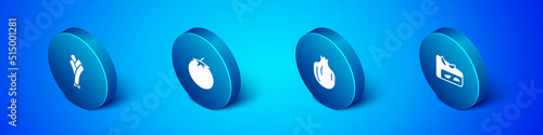 Set Isometric Leek, Pomegranate, Homemade fruit pie and Tomato icon. Vector