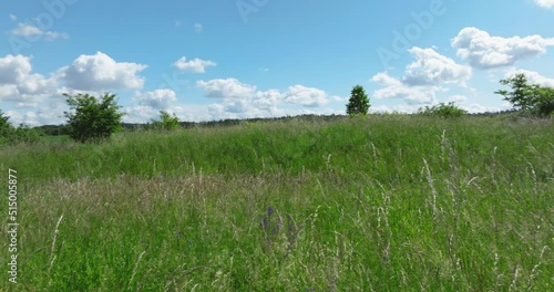 Video-Überflug mit einer Drohne über einer Wiese
