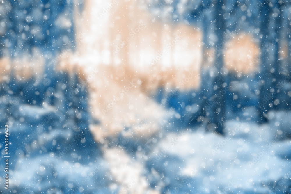 blurred winter forest blurred winter forest