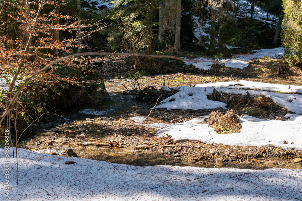 A little cold and snowy babbling stream, brook in the wild nature in the forest, outdoors A little cold and snowy babbling stream, brook in the wild nature in the forest, outdoors