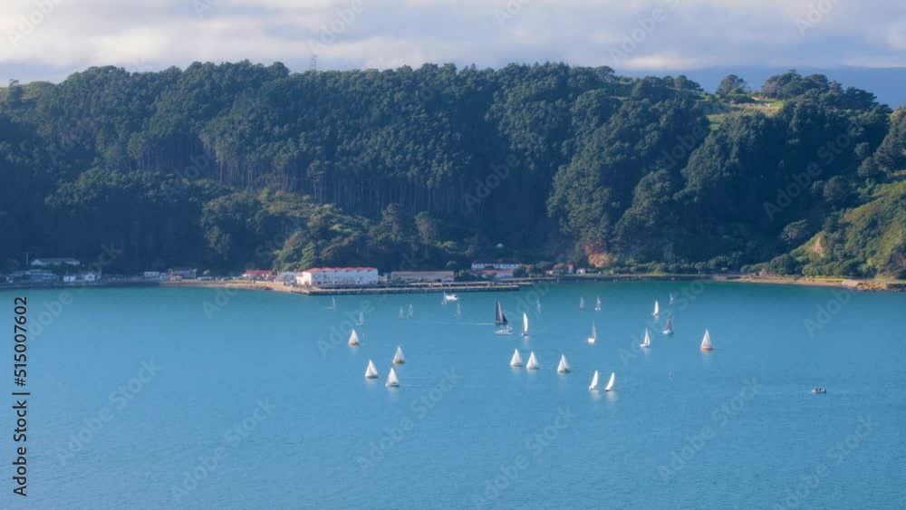 Time lapse of sailing boats yachts near Shelly Bay in capital Wellington harbour with brilliant blue turquoise ocean and Miramar Peninsula, New Zealand Aotearoa Time lapse of sailing boats yachts near Shelly Bay in capital Wellington harbour with brilliant blue turquoise ocean and Miramar Peninsula, New Zealand Aotearoa