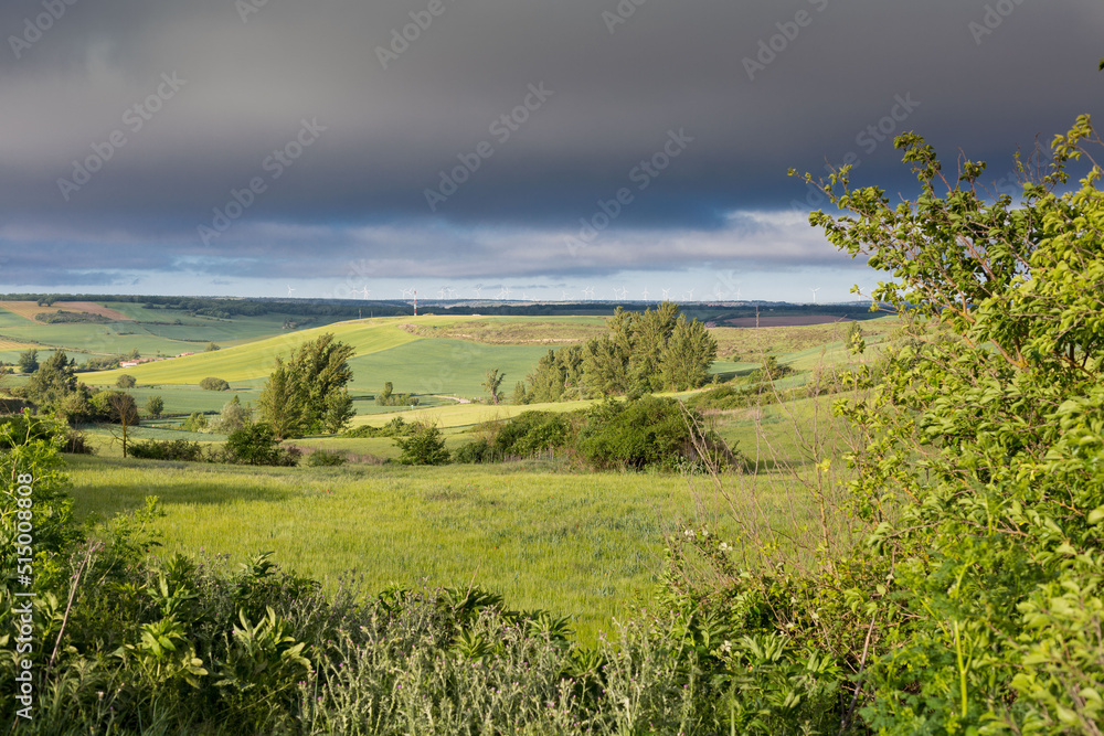 Fields of Castile, Spain in Spring, near the city of Burgos. Fields of Castile, Spain in Spring, near the city of Burgos.