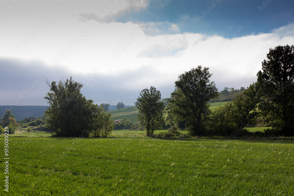 Fields of Castile, Spain in Spring, near the city of Burgos. Fields of Castile, Spain in Spring, near the city of Burgos.