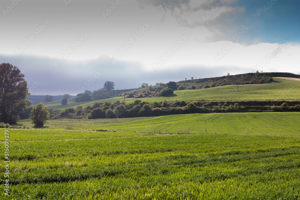 Fields of Castile, Spain in Spring, near the city of Burgos.