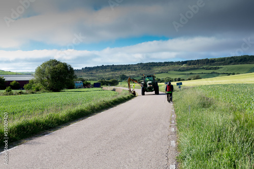 Machine removing weeds on a secondary road in central Spain in springtime