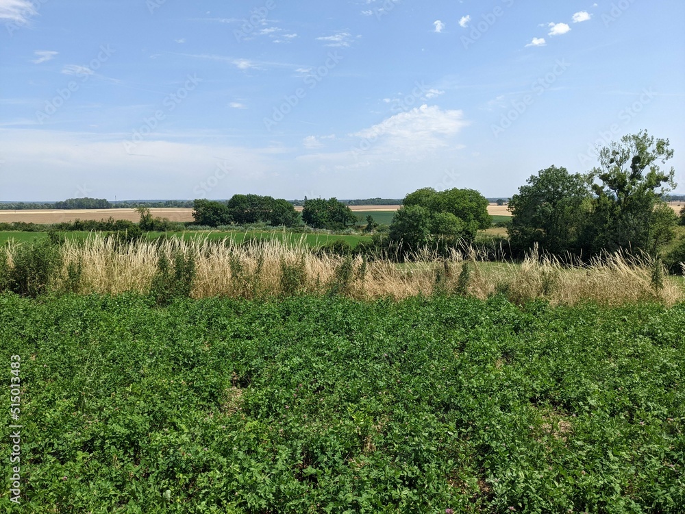 Obraz premium Burgundy countryside, France - June 2022