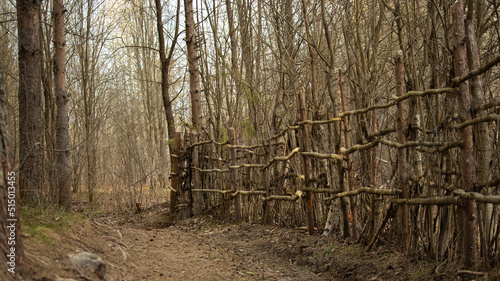 wooden fence standing along a forest path in the forest