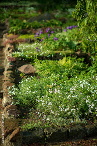 rock garden with summer plants