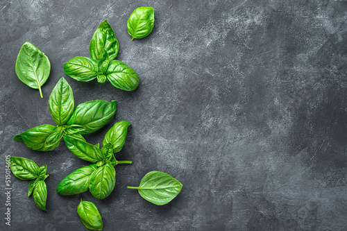 Fresh, green leaves of fragrant basil on a dark background. Top view, copy space