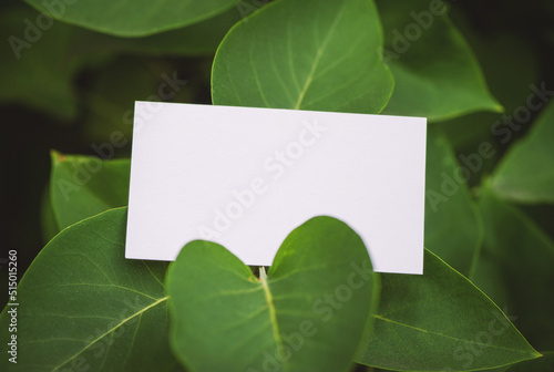 Mock up white empty paper card on the green leaves