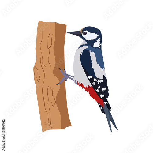 Great spotted woodpecker on a white isolated background. Vector illustration.