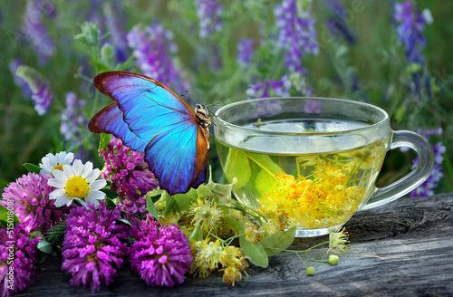 summer healing herbs and a cup of herbal tea. bright blue morpho butterfly on a cup of healing tea on a wooden table.