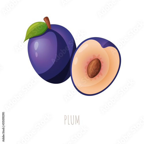 A vector illustration of plum and its slice on white background for stickers and posters