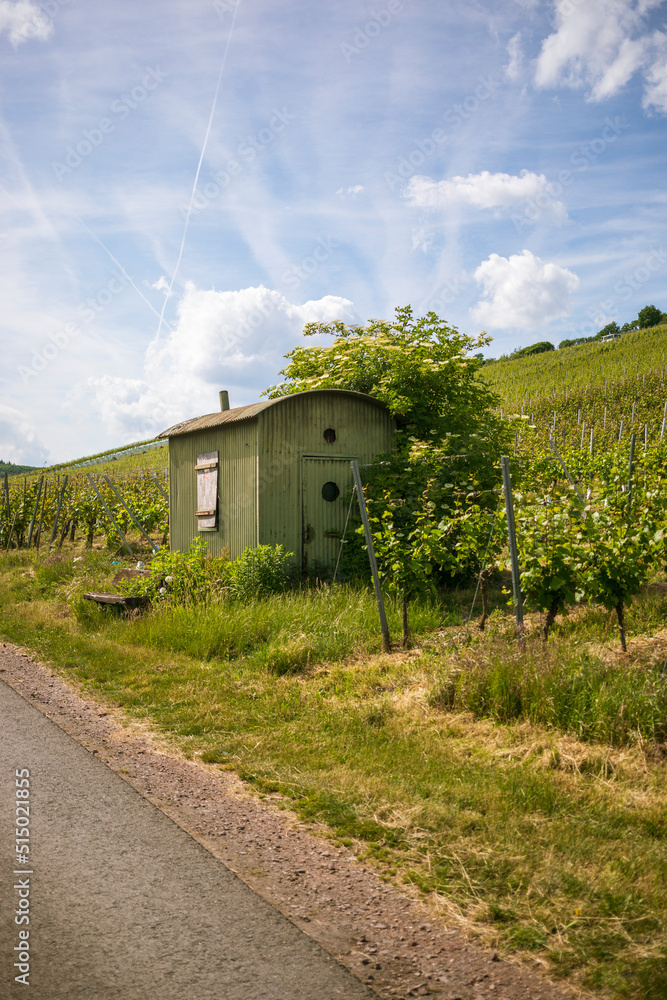 A tiny house on vineyards in Traben Trarbach (Germany)