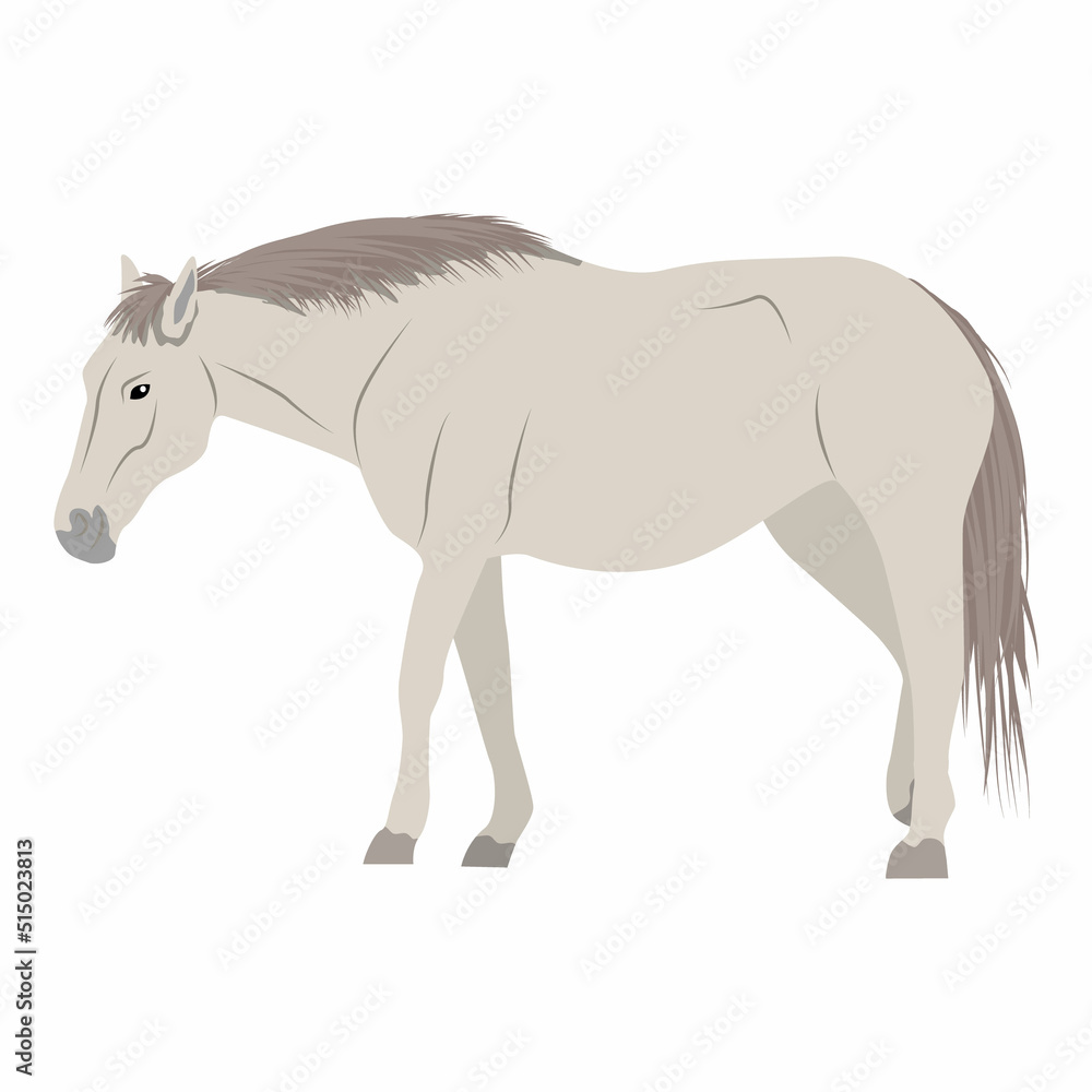 White horse. Realistic farm animal