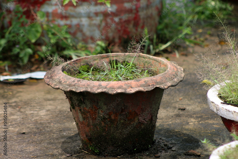 Fototapeta premium An old tob that is used for growing small flower trees.Many dust is sticked with the tob.