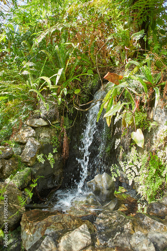 Canvas Print Botanical garden with plants and flowers growing in Dublin, Ireland