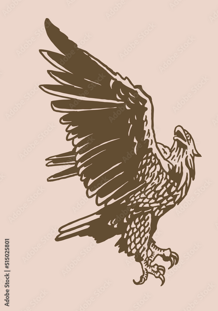 Vector vintage bald eagle ,graphical bird with open wings, symbol of ...