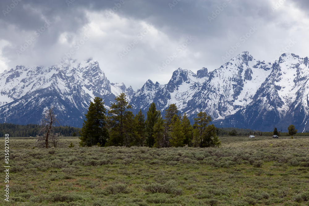 Trees surrounded by Mountains in American Landscape. Spring Season. Grand Teton National Park. Wyoming, United States. Nature Background.