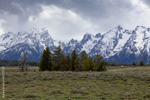 Trees surrounded by Mountains in American Landscape. Spring Season. Grand Teton National Park. Wyoming, United States. Nature Background.