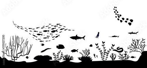silhouette of coral reef with fish  on white  sea background underwater vector illustration