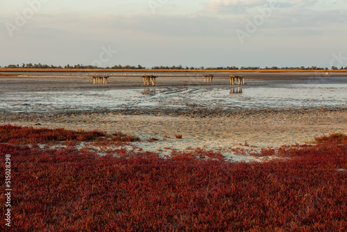 A view of the wildlife landscape at Kinburn Spit at sunrise. Ukraine photo