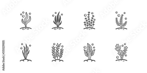 Set of vector linear icons with aquarium algaes with bubbles. Isolated black pictogram collection with water plants on a white background. Outline signs for web