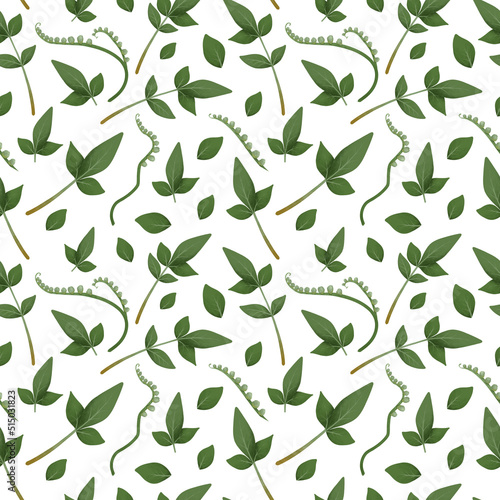 Seamless pattern of green leaves, natural foliage, green leaves, herbs, hand drawn. Rustic eco friendly background on white