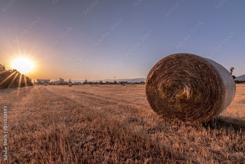 Countryside landscape with round bales of hay in the foreground