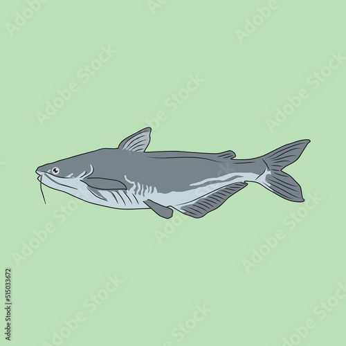 Catfish Illustration with Pastel Background Colors