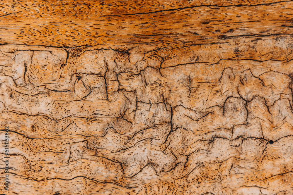 Close-up old cracked wooden surface, textured wooden background. The surface of the old brown wood texture Close-up old cracked wooden surface, textured wooden background. The surface of the old brown wood texture