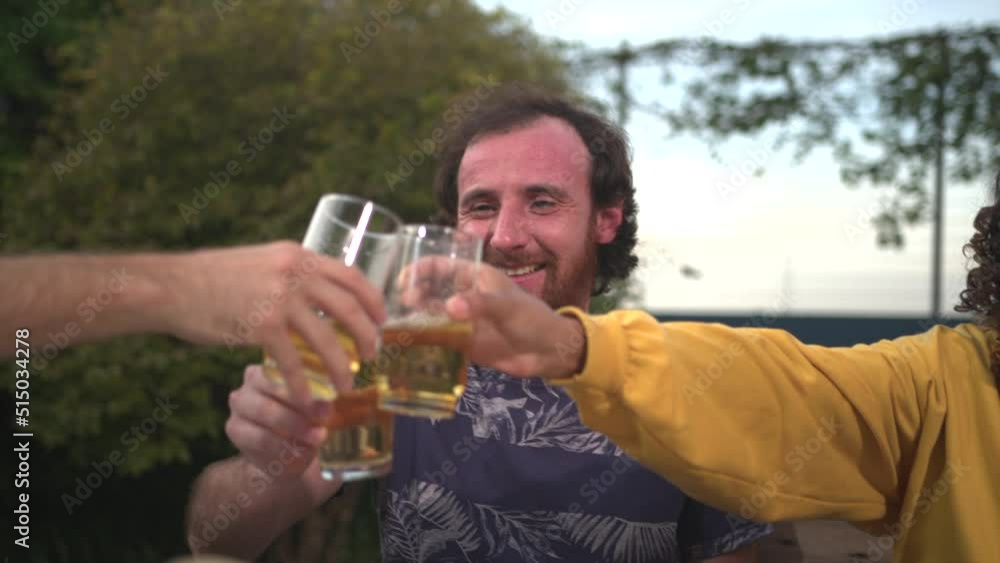 Diverse group of friends toasting celebration with drinks clinking beverages Diverse group of friends toasting celebration with drinks clinking beverages