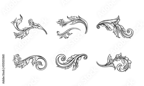Set of decorative curled leaves, floral ornament in black lines vector illustration