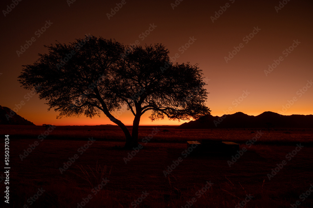 sunset behind a trees in Africa