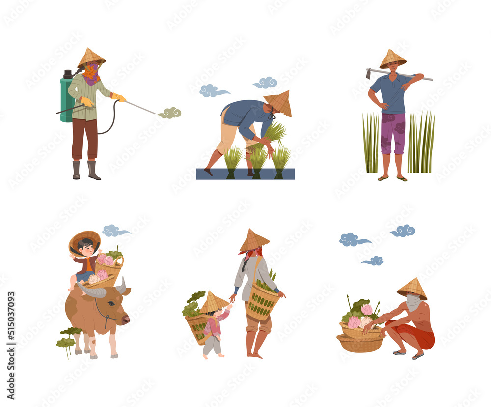 Asian farmers planting harvesting rice, lotus flowers and picking up tea leaves set vector illustration