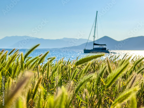 Catamaran anchored on the sea shore with green grass. Anchored in the Mediterranean Sea. traveling by boat in Greece Lefkada. Go Everywhere