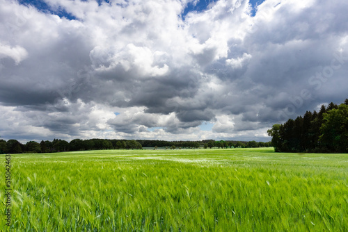 Beeindruckende Wolken über der blühenden Döhler Heide.