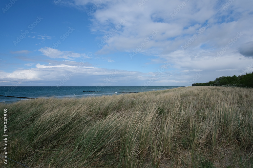 Obraz premium Ostseedüne