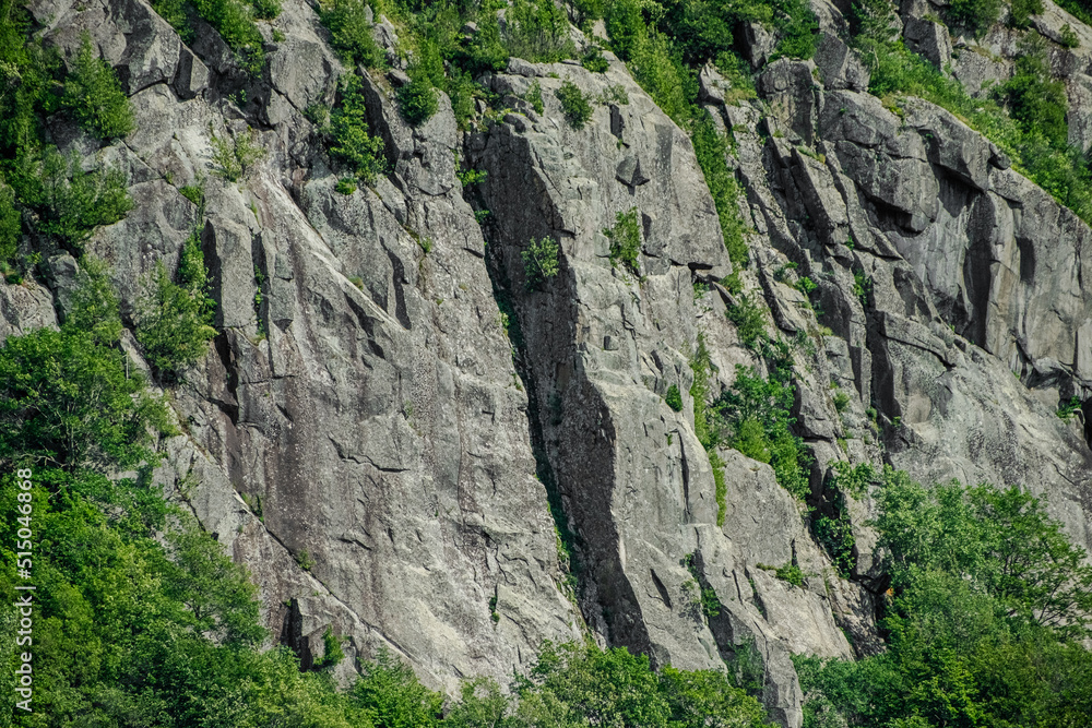 Green trees on a bedrock off a mountain. Green trees on a bedrock off a mountain.