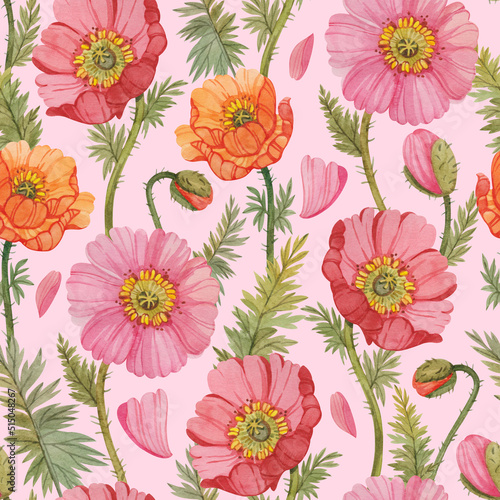 Wallpaper Mural Seamless pattern with colorful watercolor poppies. Floral print with poppies on a light pink background. Torontodigital.ca
