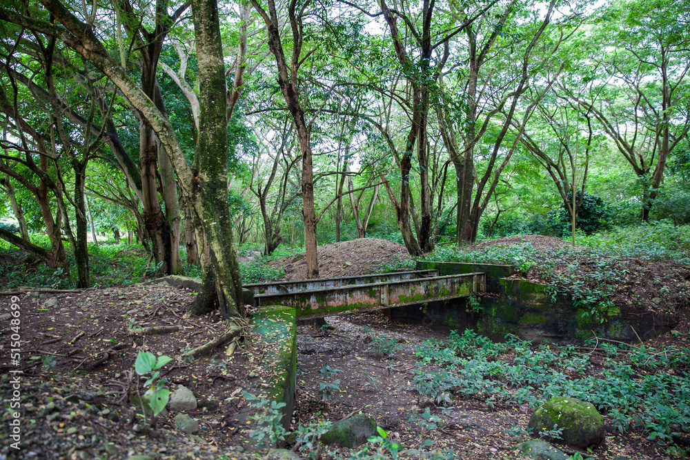 Abandoned bridge over which the train tracks passed before the Armero tragedy in 1985 Abandoned bridge over which the train tracks passed before the Armero tragedy in 1985