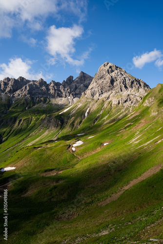 Sunny view over the Alps