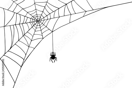 Linear sketch of a corner web with a spider.Vector graphics. photo