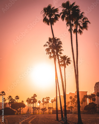 Beautiful sunset on the beach accompanied with palm trees.