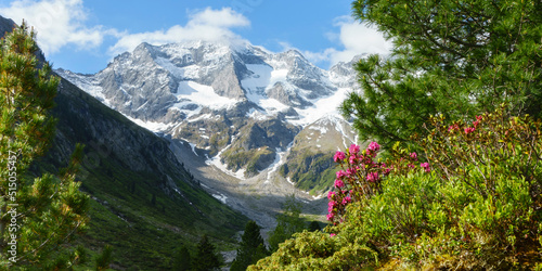 Panoramabild einer herrlichen Berglandschaft mit Gletscher und Almrausch in den österreichischen Alpen photo